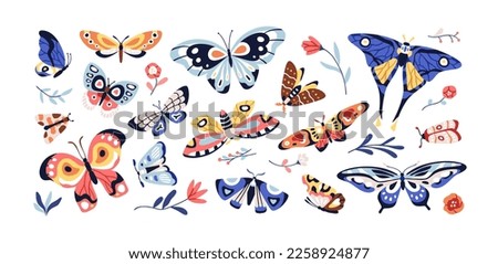 Beautiful butterflies set. Exotic moths, charming flying winged insects. Pretty tropical fauna, flowers, spring and summer nature bundle. Colored flat vector illustrations isolated on white background