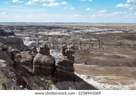 Landscape of the beautiful desert Petrified Forest National Park, mountains and rocky area Royalty-Free Stock Photo #2258941069