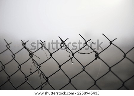 fence with barbed wire in the morning mist