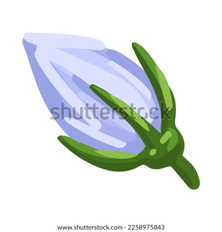 Bluebell flower. Floral design for postcard, poster, ad, decor, fabric and other uses. Vector isolated illustration of harebell flower.
