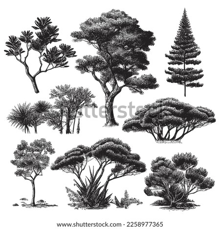 Hand Drawn Engraving Pen and Ink Tree Collection Vintage Vector Illustration Royalty-Free Stock Photo #2258977365