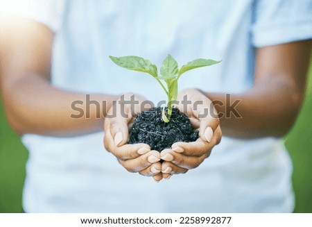Hands, plants and growth for earth day, sustainability and volunteering in gardening, agriculture or agro farming hope. Green leaves, eco friendly project and sustainable person, natural soil in palm Royalty-Free Stock Photo #2258992877
