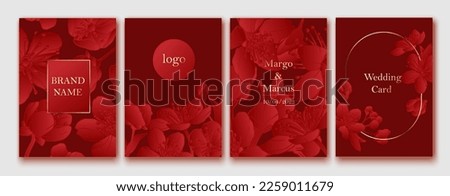 Set of spring backgrouds with sakura flowers. Cherry blossoms. Design for card, wedding invitation, cover, packaging, cosmetics. Red and golden colors.
