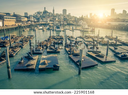 Tourists and sea lions at Pier 39,San Francisco.Pier 39 is one of the landmarks of San Francisco. Royalty-Free Stock Photo #225901168