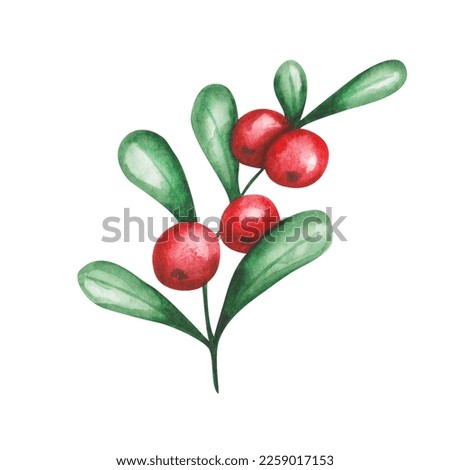 Watercolor illustration. Hand painted branch with red, round berries and green leaves. Cranberry, cowberry, currant. Summer, autumn harvest of food. Forest berry. Isolated clip art for pattern, print