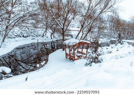 City park Snow winter white background blizzard frost. Snowy cold day frozen weather season. Concept idea photo. Full hd photo high quality. Ice forest snow winter day. City Park