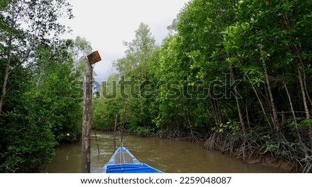 View Of River Water And Tropical Mangrove Forest, With Boat End Anchored, In Belo Laut Village During The Day
