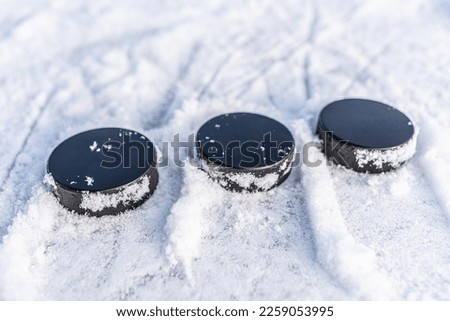 hockey pucks lies on the snow macro