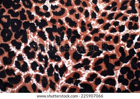 leopard ornament decor background closeup