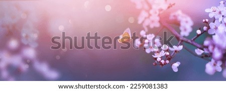 Art blurred nature Spring blossom background. Nature scene with blooming tree Spring flowers and flying butterfly. Beautiful orchard