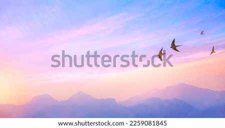 abstract beautiful peaceful spring morning sky background; sunrise new day and flying flock of birds
 Royalty-Free Stock Photo #2259081845