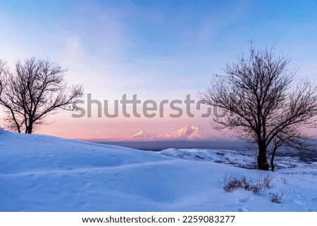 beautiful winter landscape, pink shade