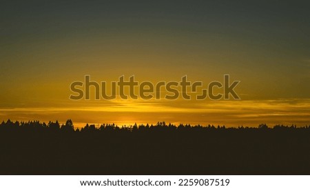 Dark forest trees silhouette at sunset natural sky. Last Light photo