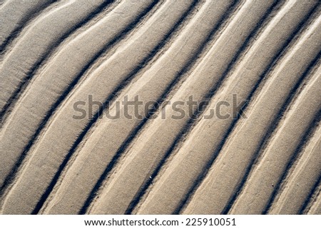 A background texture of unrefined, damp and grainy natural golden sand.