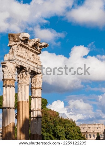Archaeology in Rome. Temple of Venus Genetrix columns and Coliseum ancient ruins