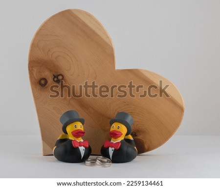 Two male ducks in tuxedo symbolizing a gay couple in front of  a wooden heart on a white background