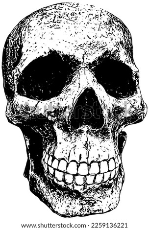 Human skull in grunge style illustration 