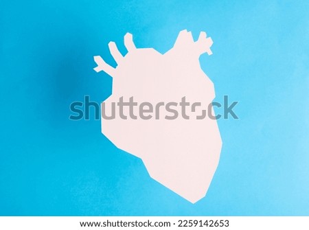 Anatomical heart cut out of white paper on a blue background. Healthy heart concept