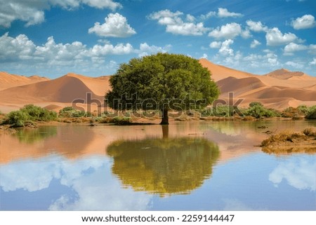 Namibia, reflection of the dunes in the Namib desert, lake in raining season, beautiful landscape in Dead Vlei Royalty-Free Stock Photo #2259144447