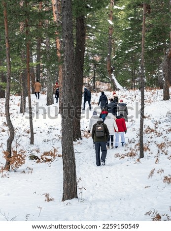 people walking in the snow