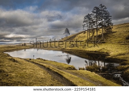 Small tarn below School Knott and Grandsire with trees on the right Royalty-Free Stock Photo #2259154181