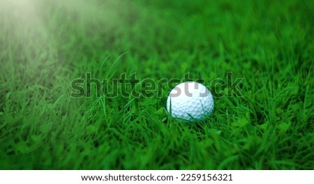A white golf ball is lying in the green grass. Rectangular banner with a picture of a golf course. Playing in the fresh air. A round ball.