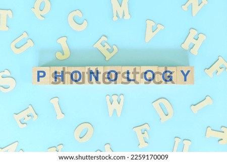 Study phonology in linguistics concept. Wooden blocks word typography flat lay in blue background.