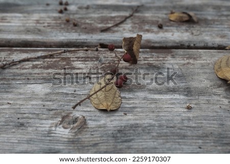 Dry leaves and burgundy berries on an old tabletop