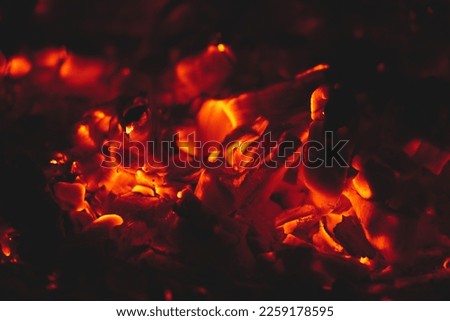Burning Embers in a Campfire