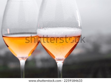 Tasting of premier cru sparkling rose wine with bubbles champagne outdoor with view on  vineyards in Hautvillers in rainy February, near Epernay, France. Royalty-Free Stock Photo #2259184633