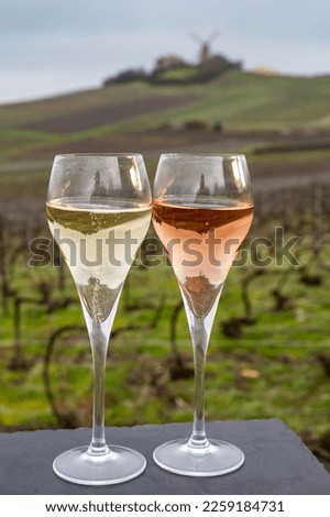 Winter tasting of brut and rose champagne sparkling wine outdoor with view on pinot noir gran cru vineyards of famous champagne houses in Montagne de Reims near Verzenay, Champagne, France