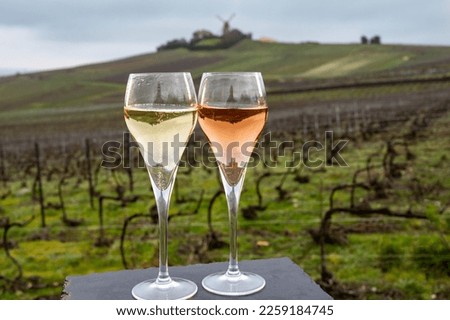 Winter tasting of brut and rose champagne sparkling wine outdoor with view on pinot noir gran cru vineyards of famous champagne houses in Montagne de Reims near Verzenay, Champagne, France