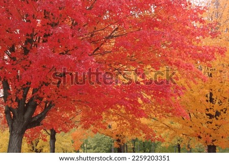 Fall colors around southern Minnesota 