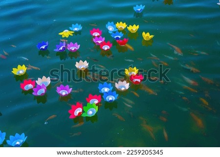 Floating colored lanterns and garlands and fish KOI on river at night on Vesak day day for celebrating Buddha's birthday, that made from paper and candle. Commemorating those who have passed away Royalty-Free Stock Photo #2259205345