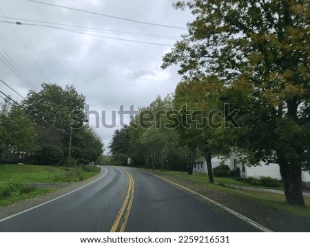 A quiet street after a fall storm on a cloudy day 