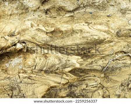 background texture studio scene of forest sand ground, texture of the forest floor ready for product. sand of various stripes
