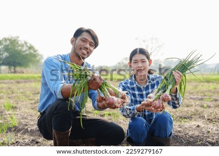 Asian indian mixed race man farmer with wife holding onions after harvesting, agriculture concept