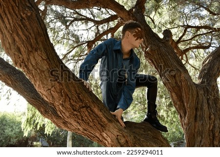 portrait of handsome masked man wearing fantasy medieval prince costume with golden crown and romantic silk shirt.  climbing a tree branch in a forest location with backlit silhouette lighting.