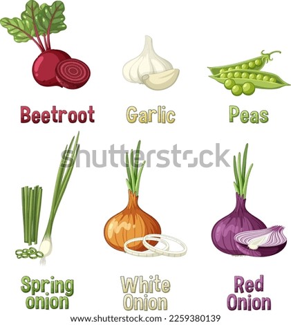 Root vegetables set on white background illustration