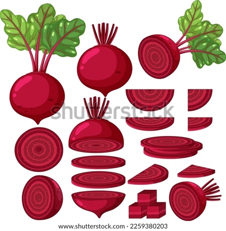 Beetroot in whole and sliced pieces illustration Royalty-Free Stock Photo #2259380203