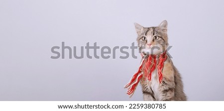 Cat in a orange scarf on a light background. Spring concept. Cat with green eyes. Kitten dressed in a knitted scarf ready for cold spring. Pet care. Pets. Clothing for animal. web banner copy space