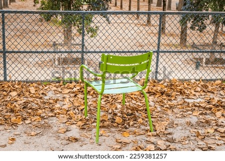 Green chair of the Tuileries garden in Paris, France in Autumn