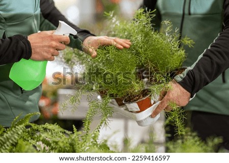 A close-up of two men's hands holding and misting the Boston fern to keep humidity levels.