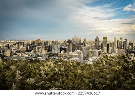 Montreal skyline, view from the Mont Royal viewpoint in Montreal, Quebec