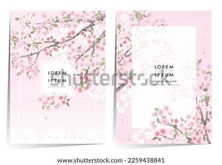 Vector editorial design frame set of spring scenery with cherry trees in full bloom. Design for social media, party invitation, Frame Clip Art and Business Advertisement		