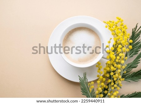 A spring bouquet with yellow mimosa flowers and a cup of coffee  cappuccino on a beige background. Concept of 8 March, happy women's day. Top view and space for text.

