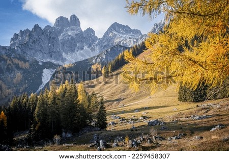 View on rever in forest, mountains and perfect sky on background. Wonderful nature landscape. Amazing natural Background. Popular travel destination. Filzmoos, Salzburg, Austria. Picture of Wild Area