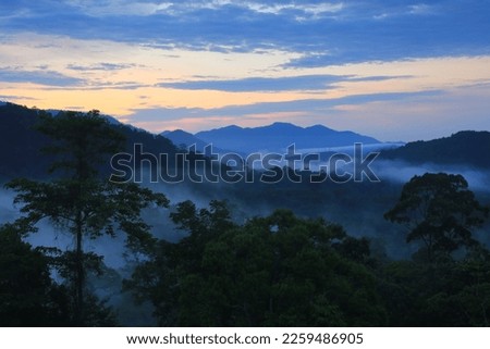 Morning mist at the viewpoint in the area of Hala-Bala Wildlife Sanctuary, San Kala Khiri Mountain,Narathiwat Province,Thailand 