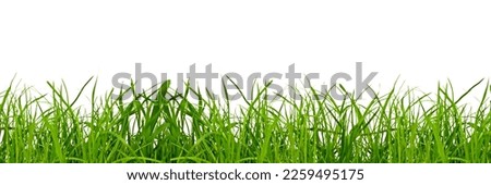 green grass on a png background Royalty-Free Stock Photo #2259495175
