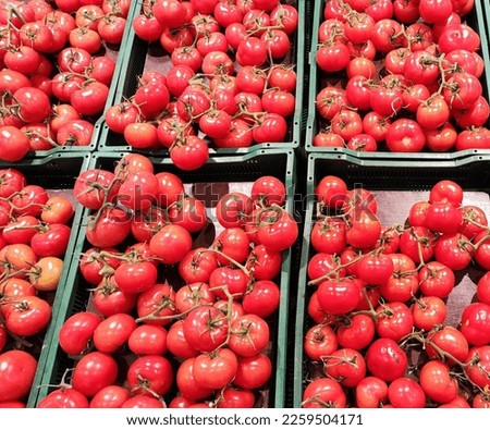 photo of fresh tomates in boxes
